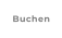 Buchen